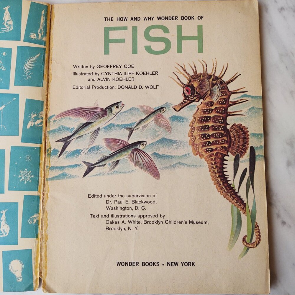 The How And Why Wonder Book Of Fish Geoffrey Coe 5038 Salmon Sharks Eels 1963 - Picture 4 of 10